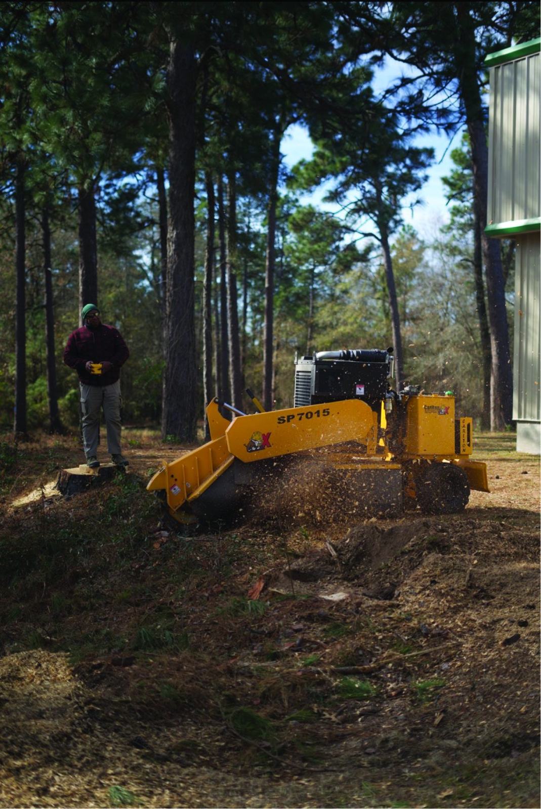 Remote-controlled stump grinder working under pines